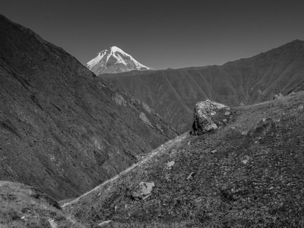 How Silence Fuels Oppression: Chechnya’s Invisible&nbsp;War