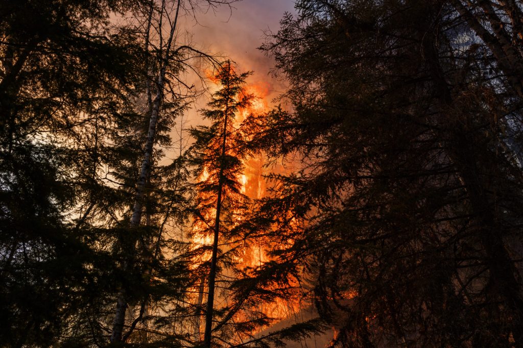 Wildfires